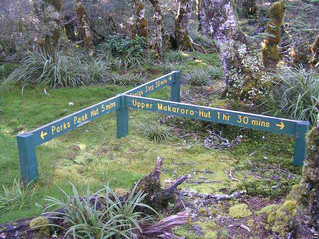 NZ leden-unor 2006 210.jpg